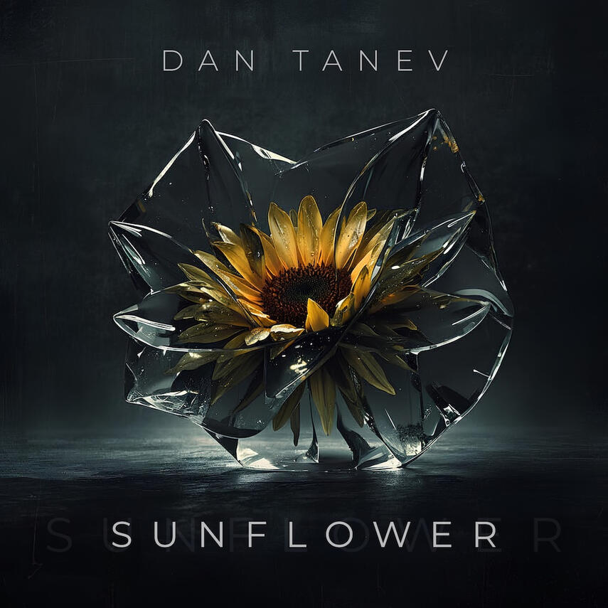 SUNFLOWER dan tanev - sunflower